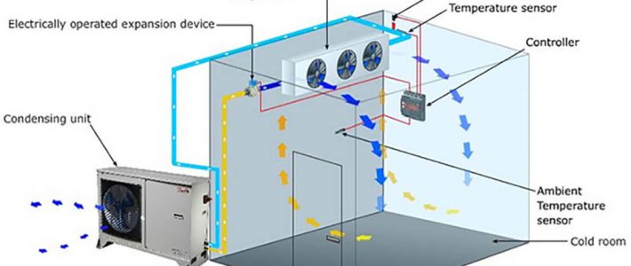 What is the difference between cold storage and freezing?