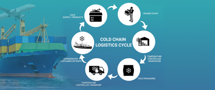 What is the purpose of cold chain logistics?