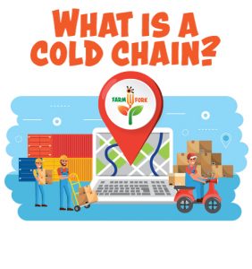 What is the purpose of cold chain logistics?