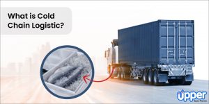 What is meant by cold logistics?