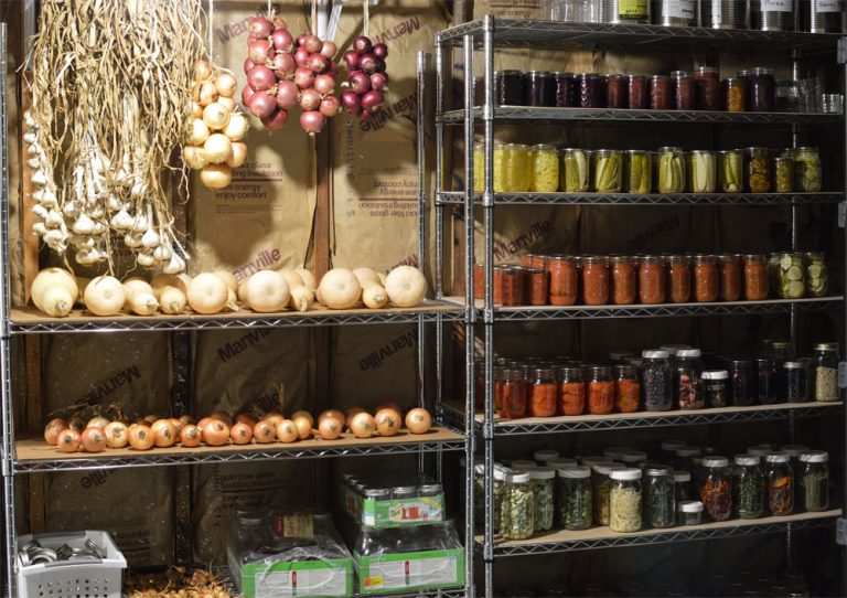 What Do You Store In A Cold Storage 