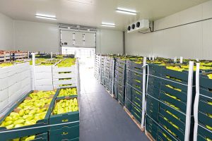 Why is cold storage cheaper?
