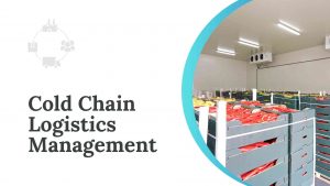 What is the cold chain process in logistics?