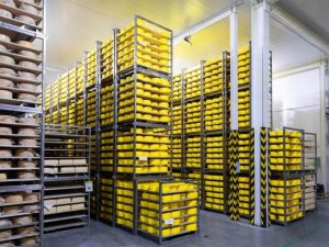 Chill Logistics: Exploring Cold Storage Warehouses