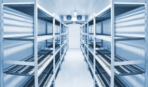 The Role of Cold Storage