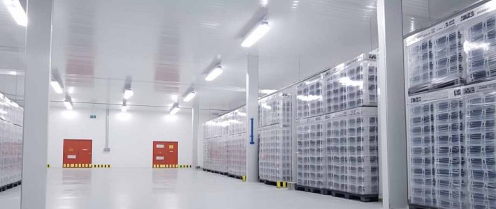 Chill Logistics: Exploring Cold Storage Warehouses