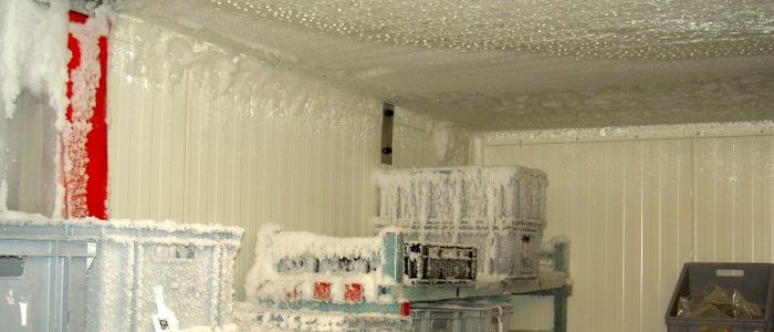 Frosty Vaults: Inside Cold Storage Facilities