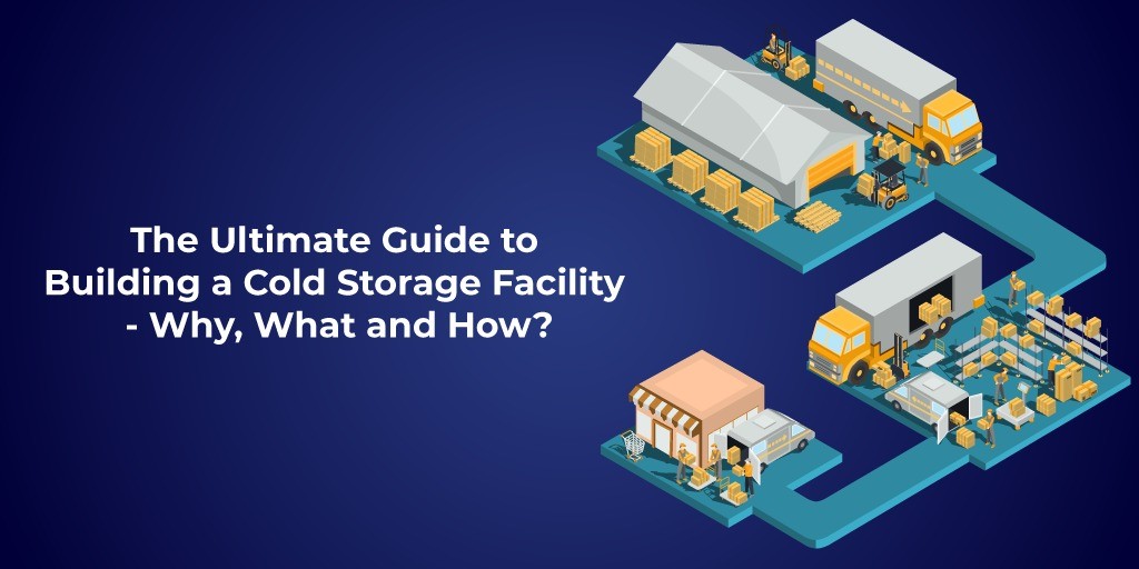 Frosty Feasts: Unlocking the Secrets of Cold Storage