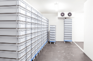 Maintaining Quality: Inside Cold Storage Solutions