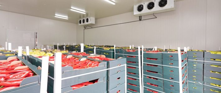 Factors Influencing the Size of Cold Storage Rooms