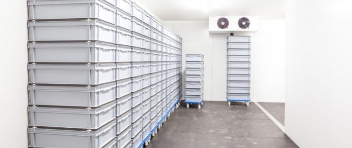 Top Materials for Cold Storage Rooms