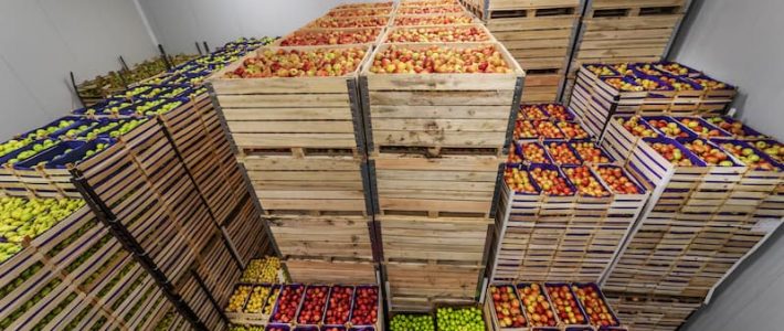 Preventing Spoilage: How Cold Storage Practices Protect Products