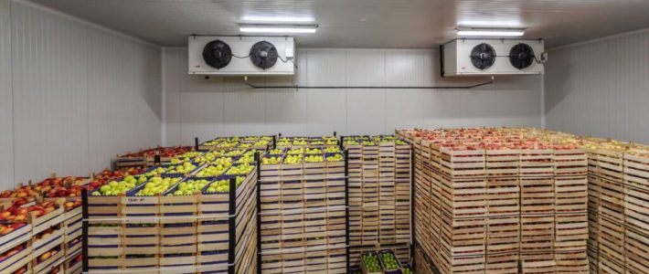 Energy-Efficient Equipment Options for Cold Storage Facilities