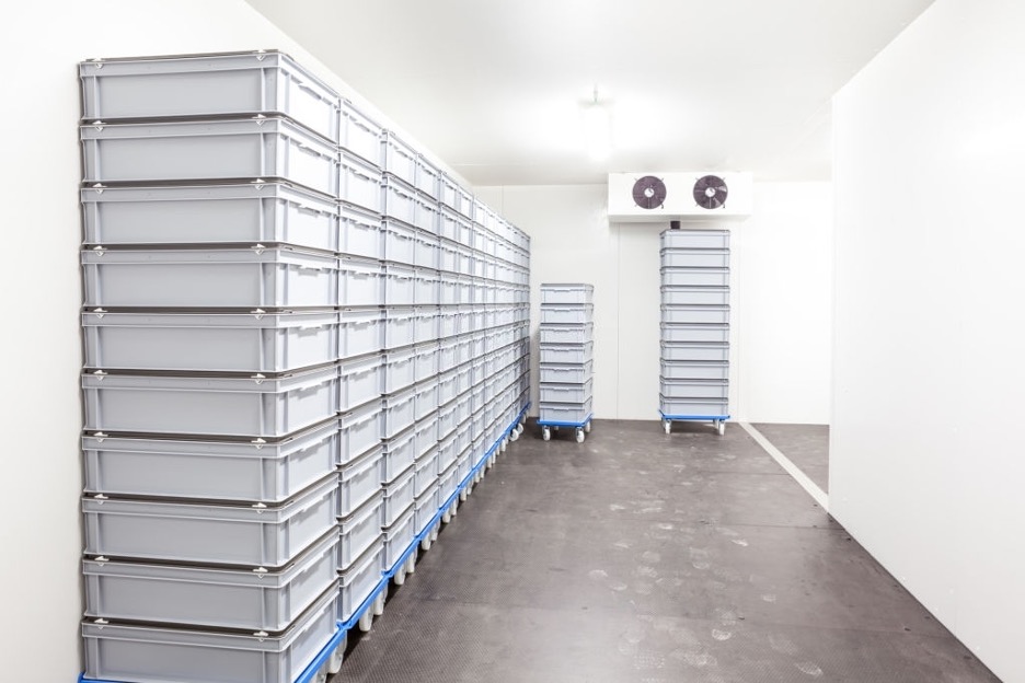 Best Materials for Cold Storage Support Frames