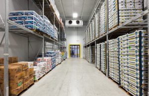 Best Practices for Managing a Cold Storage Warehouse