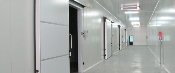 Choosing the Right Support Frame for Cold Rooms