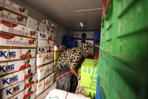 Cold Storage Solutions for Small-Scale Farmers