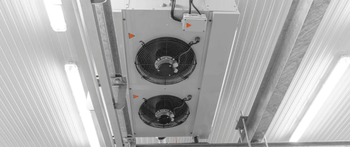 How to Make Your Cold Storage Operations More Sustainable