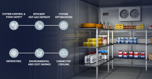 Why Cold Storage Rooms Need Strong Support Frames