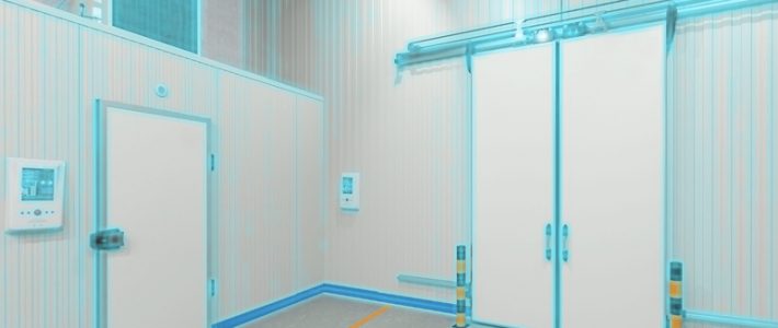 Best Materials for Cold Storage Doors