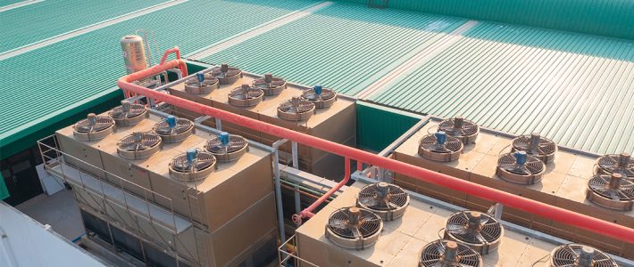 Cold Storage Construction Essentials