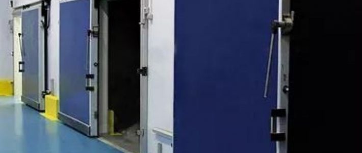 Types of Cold Room Doors