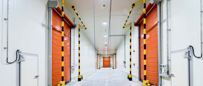 Smart Cold Storage: The Future of Temperature-Controlled Warehousing