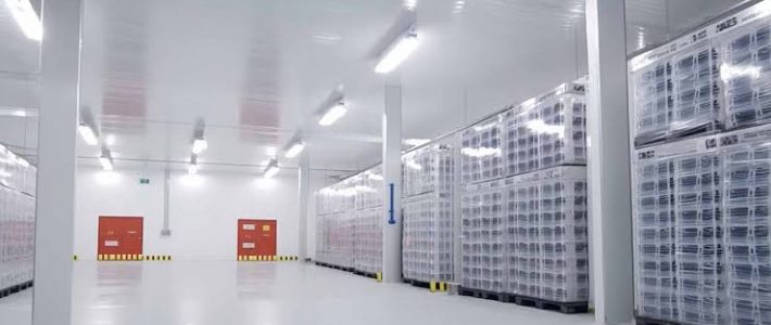 What to Look for in a Cold Storage Logistics Provider