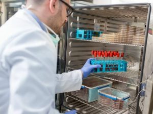 Cold Storage Experts: What to Look For Cold Storage Experts: What to Look For