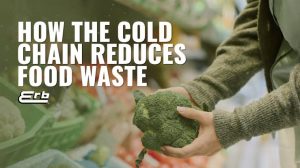 How Cold Storage Reduces Food Waste and Product Loss
