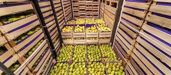 How Cold Storage Reduces Food Waste and Product Loss