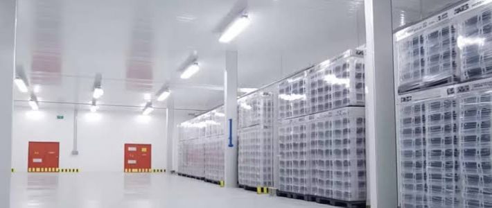 The Importance of Cold Storage Facilities in the Supply Chain