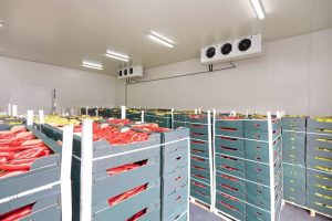 Why Businesses Need Reliable Cold Storage Facilities