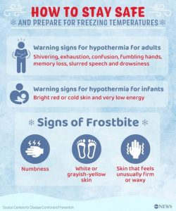 How Tretight Helps Maintain Consistent Cold Storage Temperatures